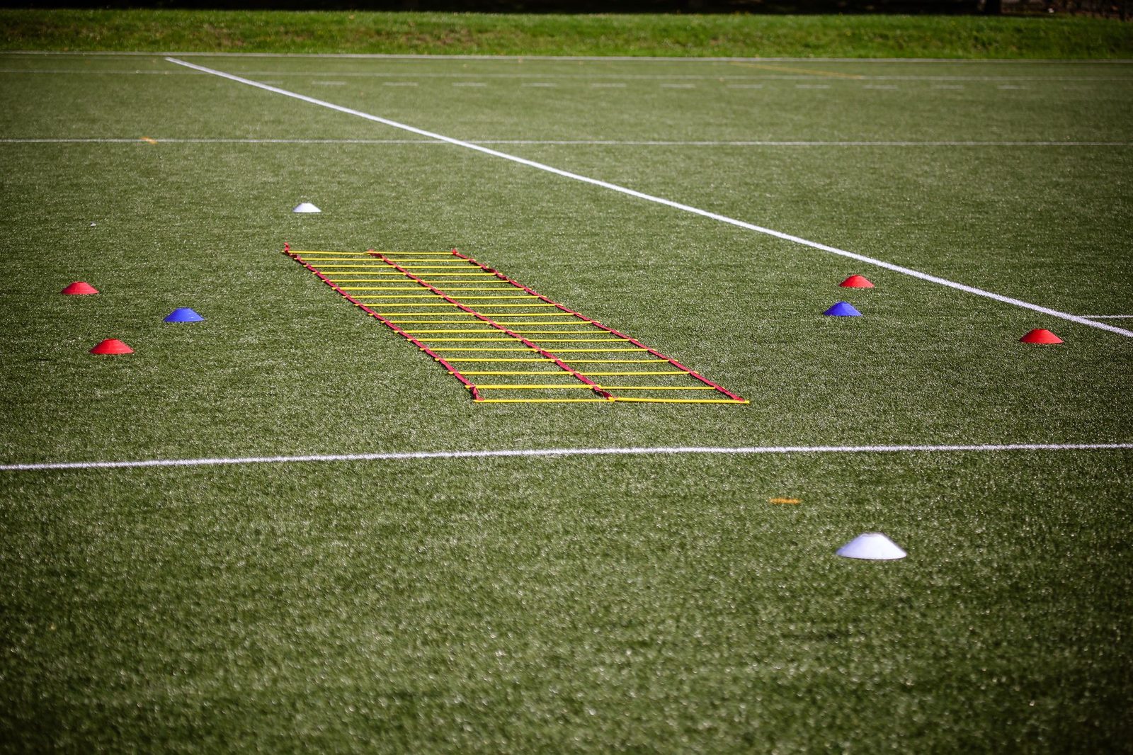 Agility ladder and marker cones set up on a grass field for speed and footwork training