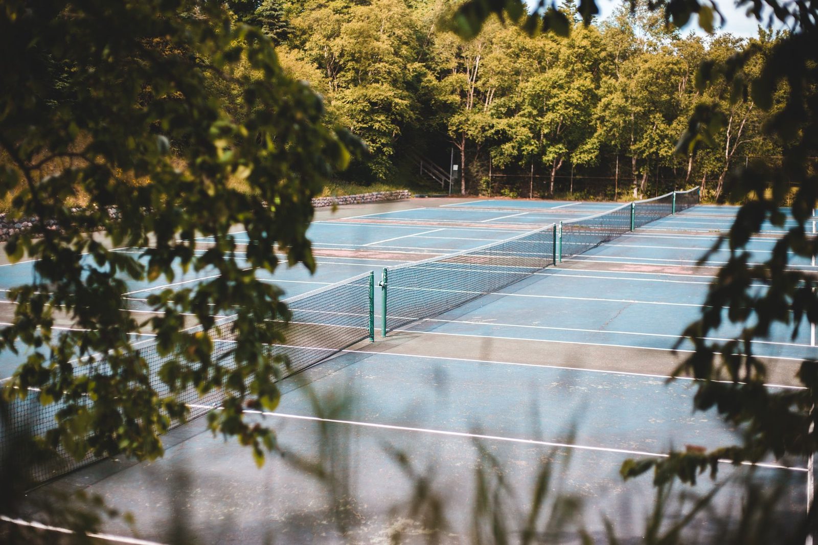 Quiet empty tennis courts surrounded by mature green trees