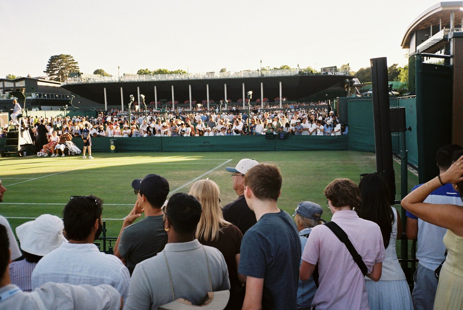 Spectators watching a grass-court tennis match from sunlit stands