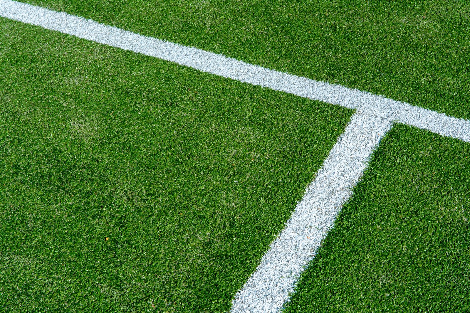 White service line and sideline markings on a grass tennis court
